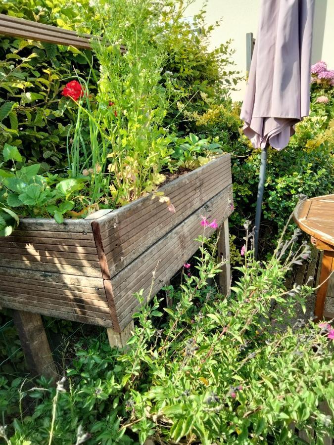 Mer A Pied Vrai Lit Linge Fourni Jardin Brétignolles-sur-Mer Buitenkant foto